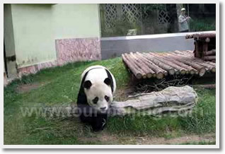 Daxing Wildlife Park Day Trip